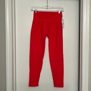 NVGTN seamless leggings